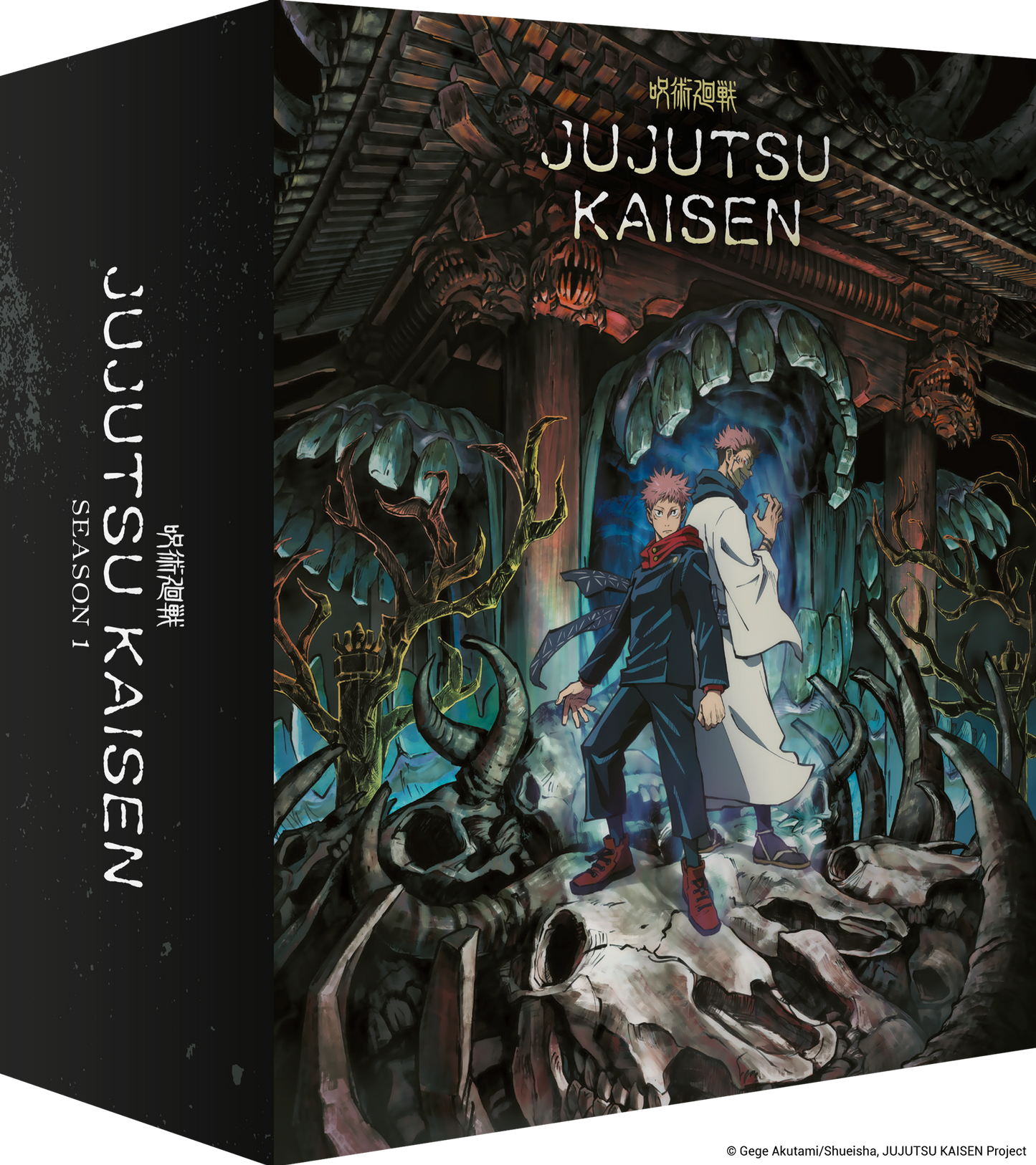 Jujutsu Kaisen Season 1 Collector's Edition bundle