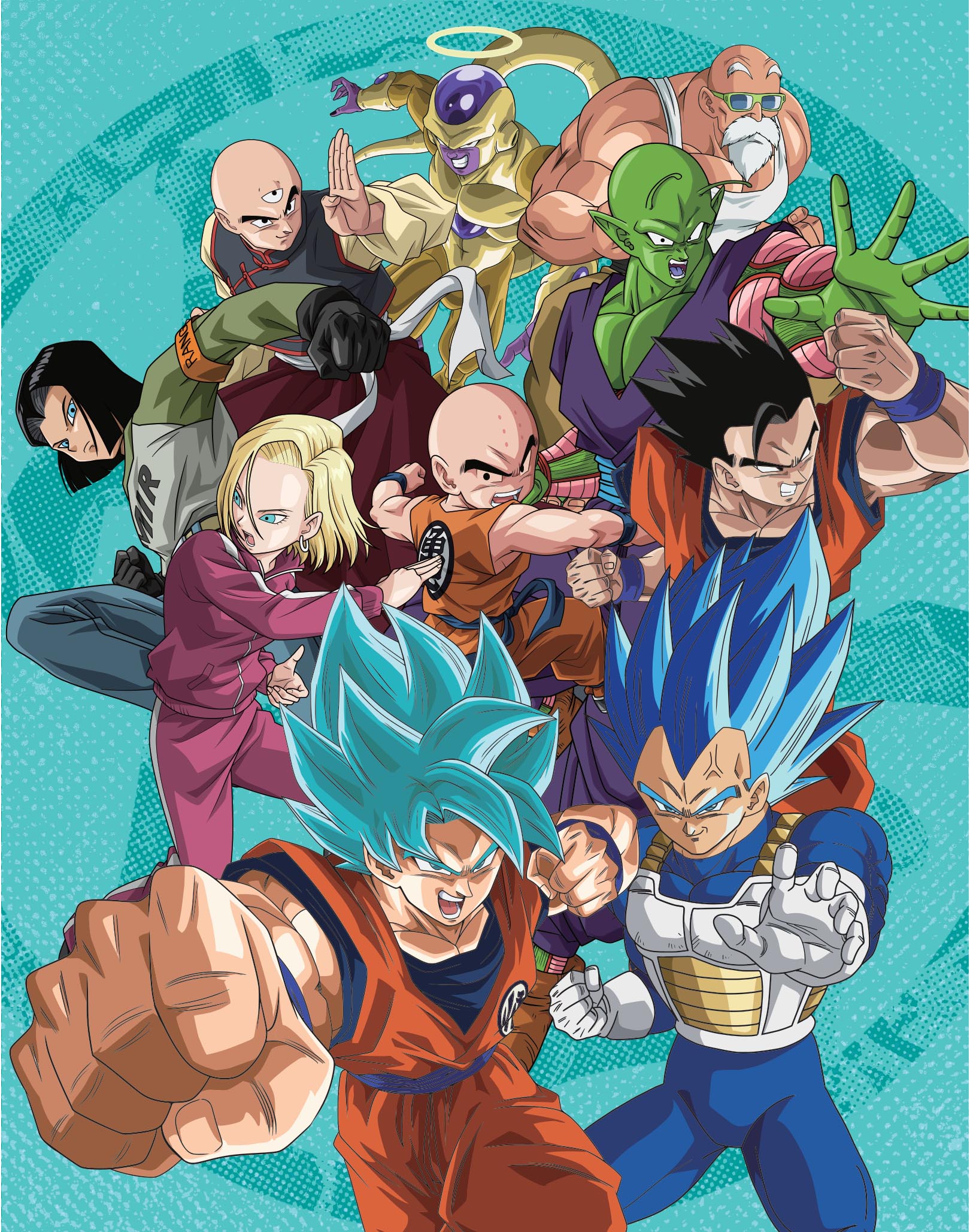 Anime compete series lot high quality Dragon ball,dragon ballz,dragon ball z super