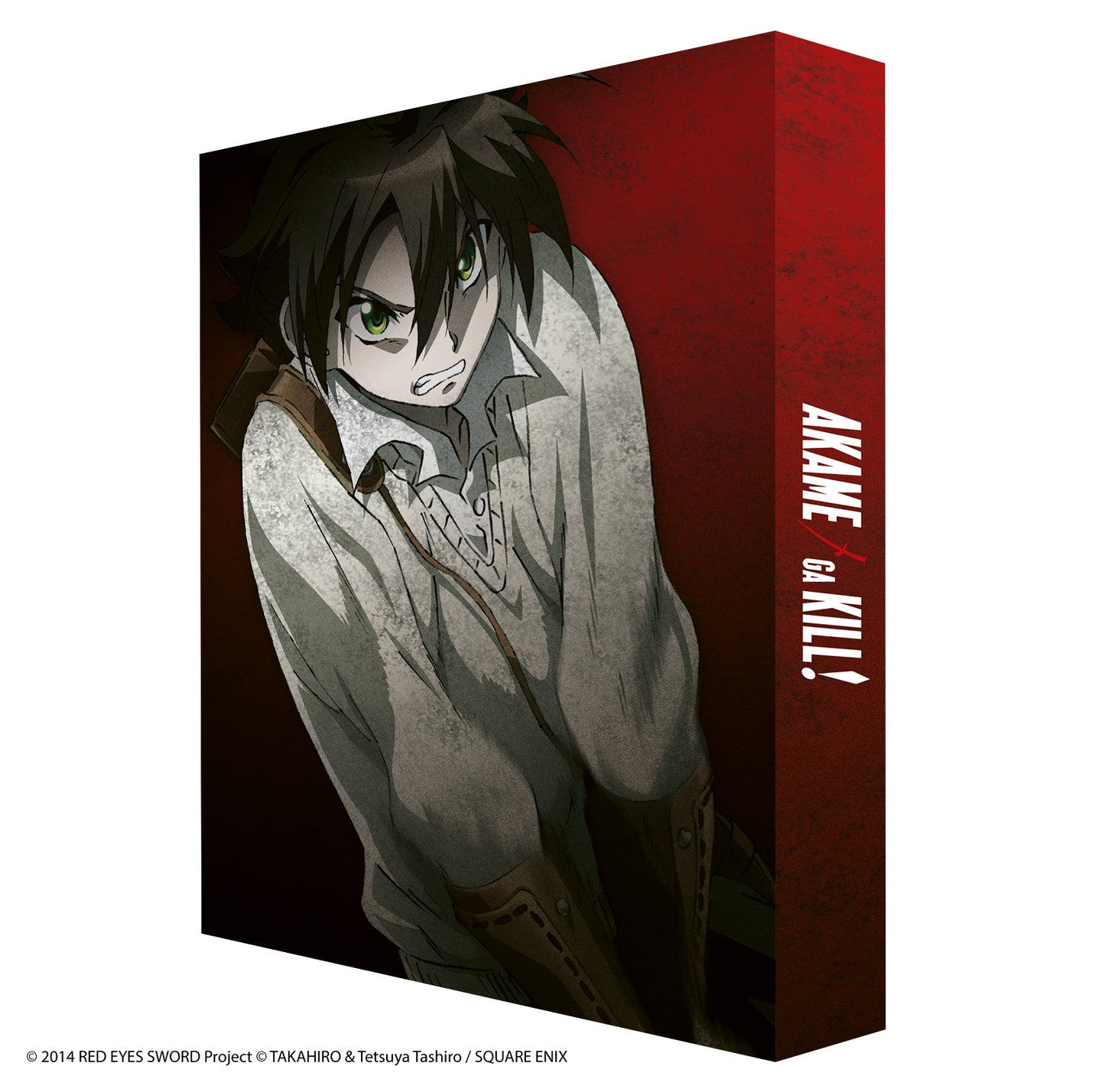 Akame Ga Kill! Complete Series Collector's Edition