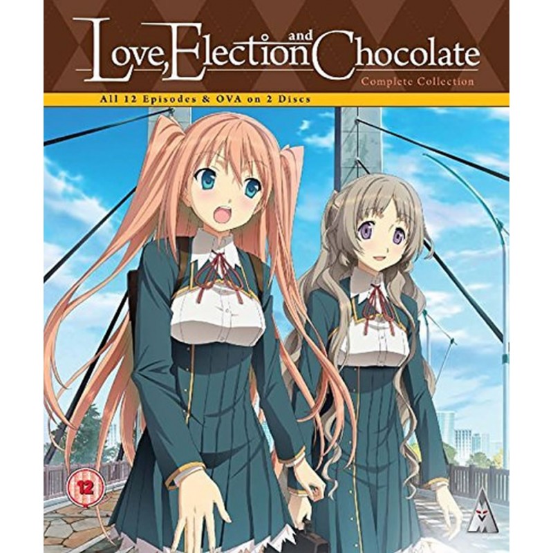 Love, Election and Chocolate - DVD