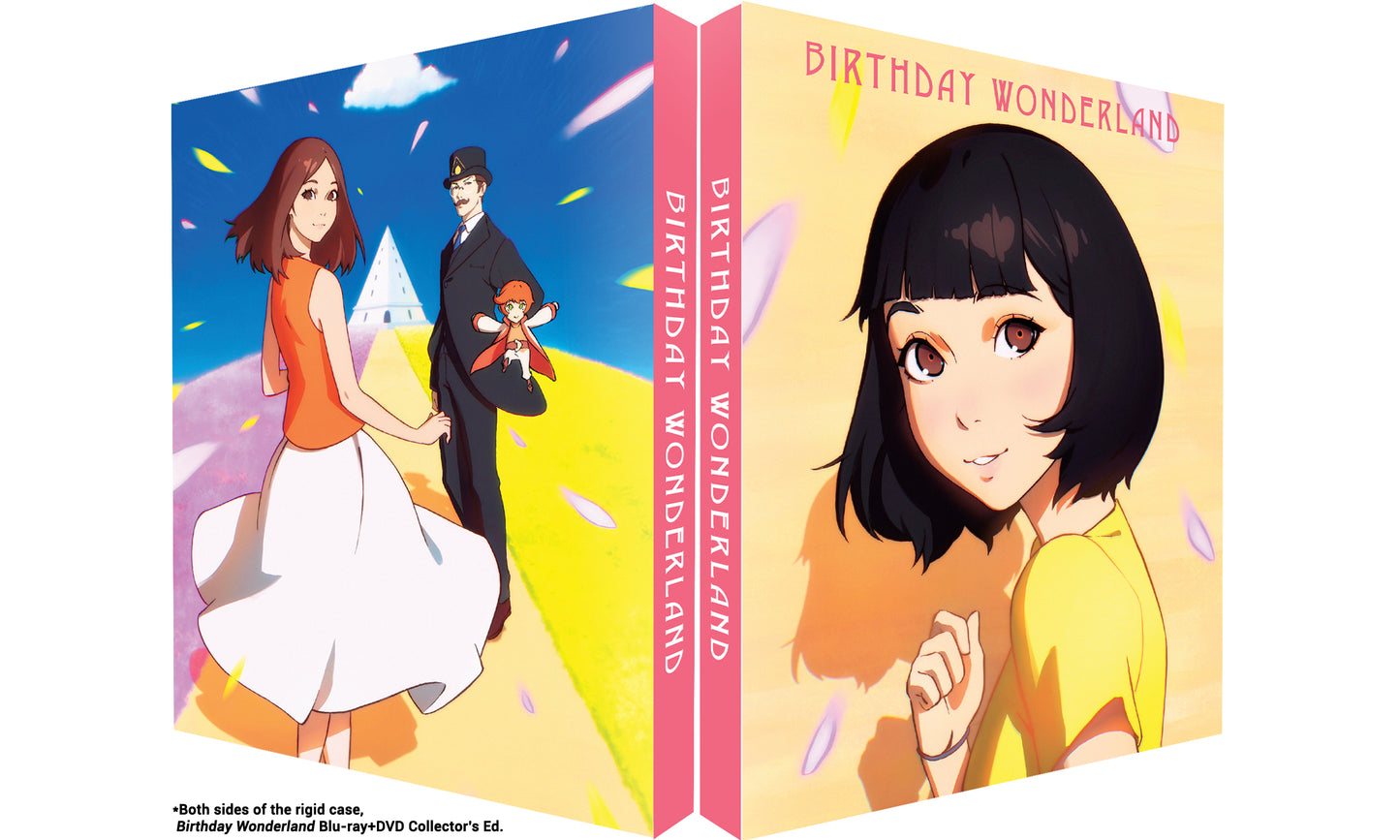 Birthday Wonderland - Blu-ray/DVD Collector's Edition